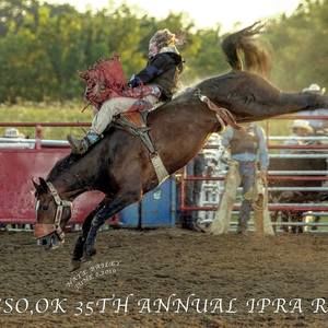 Meet your Posher, Will